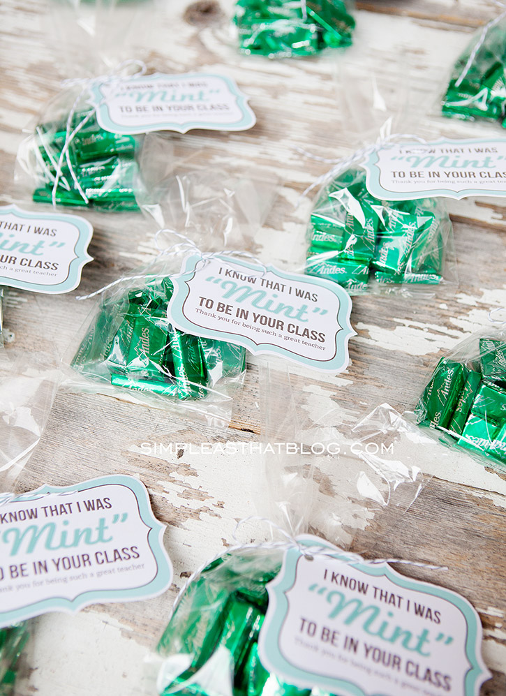 teacher-gift-idea-and-free-printable-mint-to-be-gift-tags