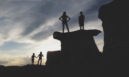 silhouette3