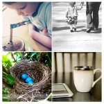 simple things roundup + weekly photo tip