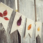 Fall Leaf Book Page Banner