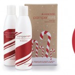 Holiday Gift Giving ideas from Arbonne