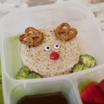 Rudolph Christmas Lunch for Kids