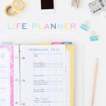 Crystal Wilkerson’s 2014 Life Planner