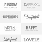 14 Fresh Fonts for Spring
