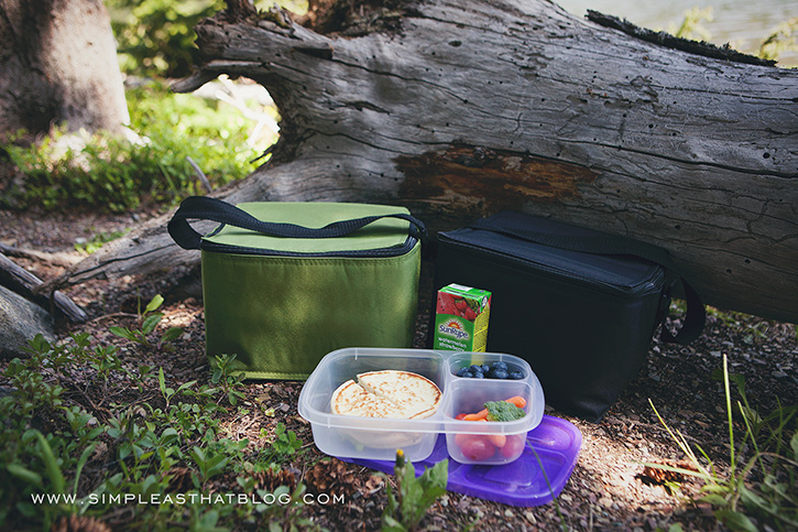 Family friendly on-the-go lunch ideas for Hiking