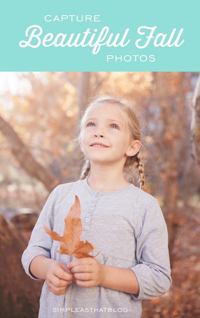 5 Quick Tips for Capturing Beautiful Fall Photos