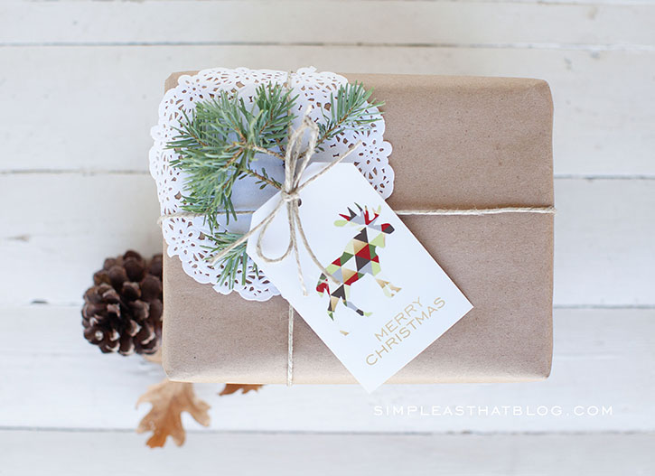 Merry and Bright Gift Idea with Printable Tag