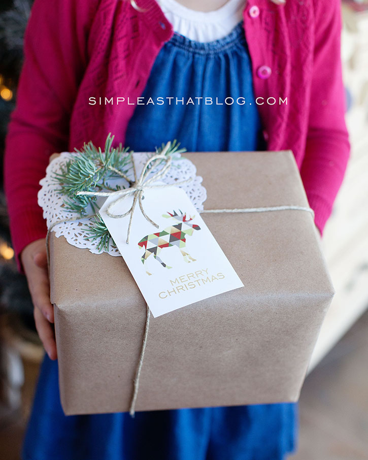 Merry and Bright Gift Idea with Printable Tag