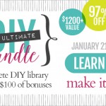 The Ultimate DIY Bundle