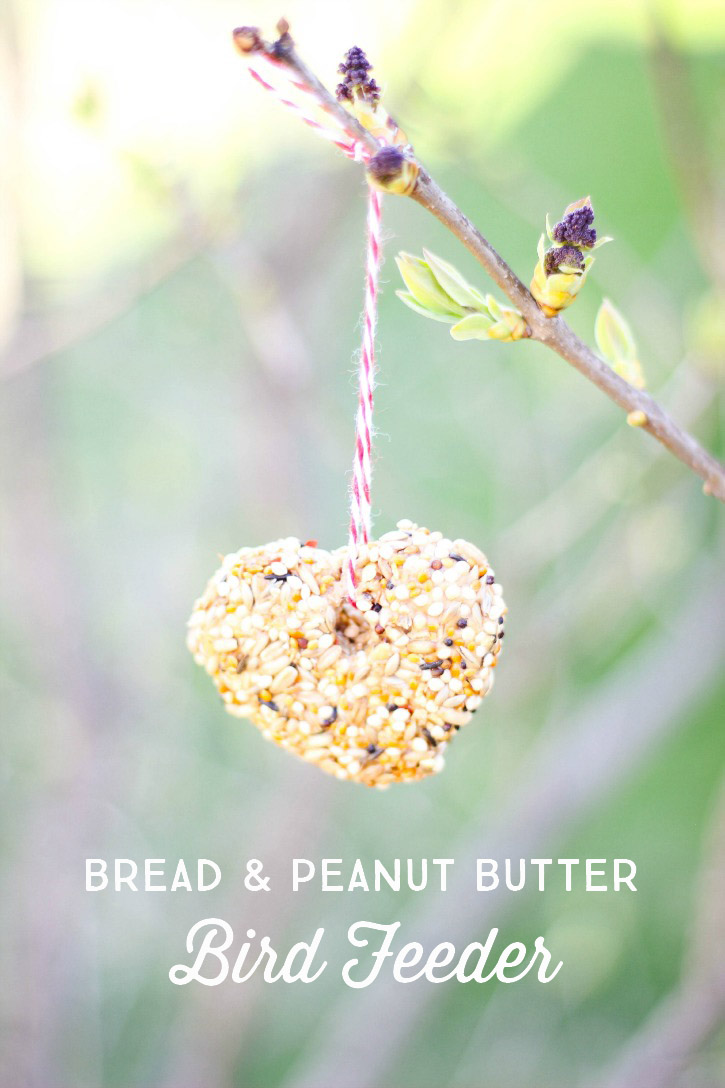 Kid Friendly Bread and Peanut Butter Bird Seed Feeder - a fun Spring craft