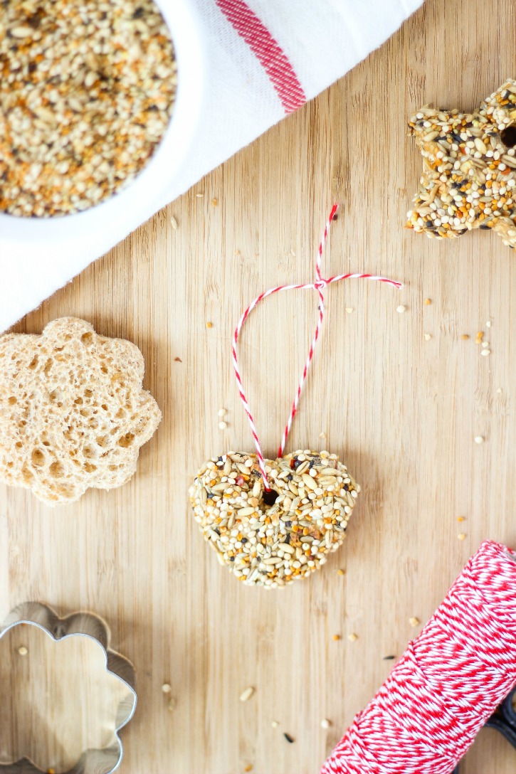 How to Make Easy and Cheap Bird Seed Ornaments for Kids