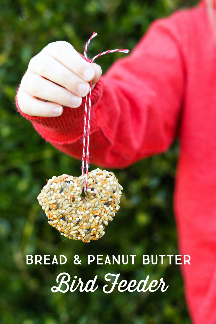 Kid Friendly Bread And Peanut Butter Bird Seed Feeder