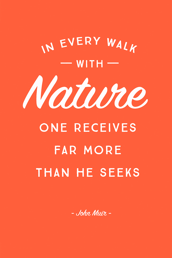 "In every walk with nature one receives far more than he seeks." - John Muir