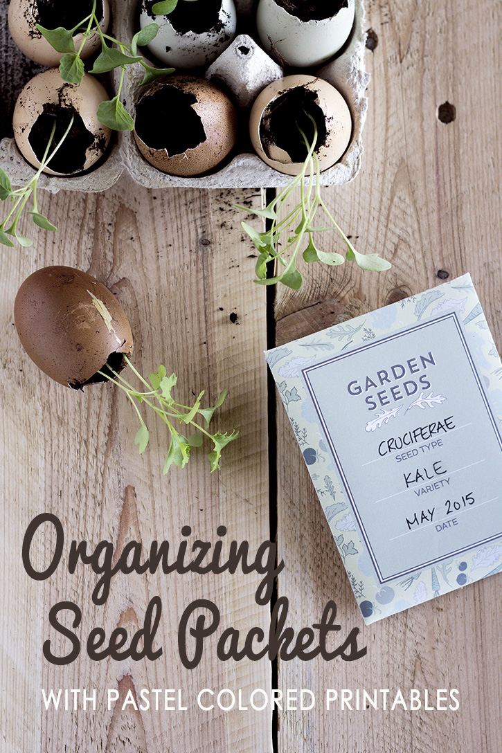 DIY Seed Packet Organizer (Free Sewing Pattern)