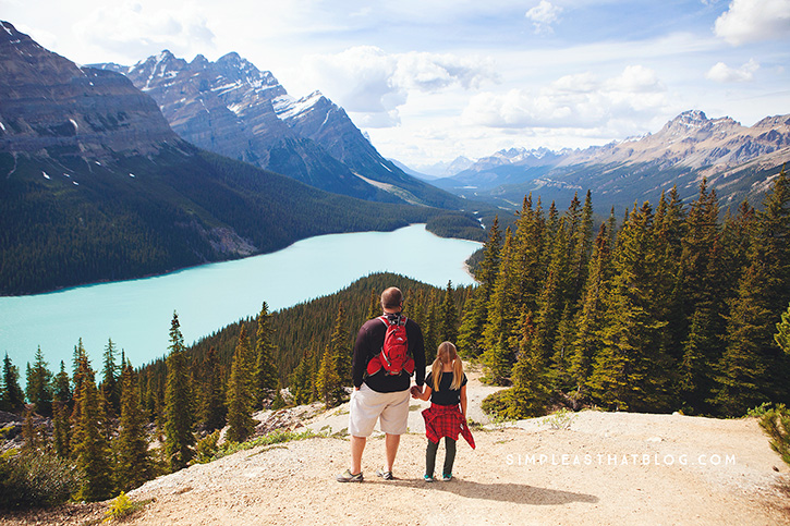 Peyto Lake - one of many places to explore along the beautiful Icefields Parkway in Banff National Park.