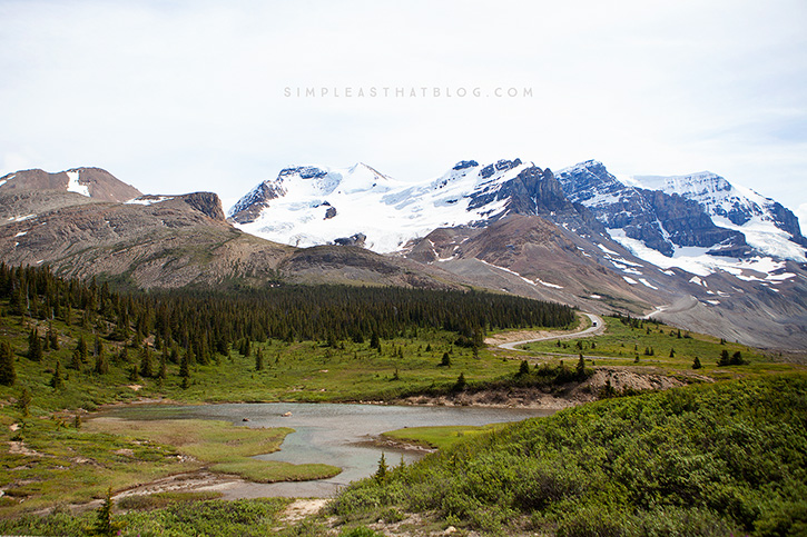 It's been hailed as one of the most breathtaking drives in the world and for good reason! Here are 5 things to see and do as you explore the Icefields Parkway!