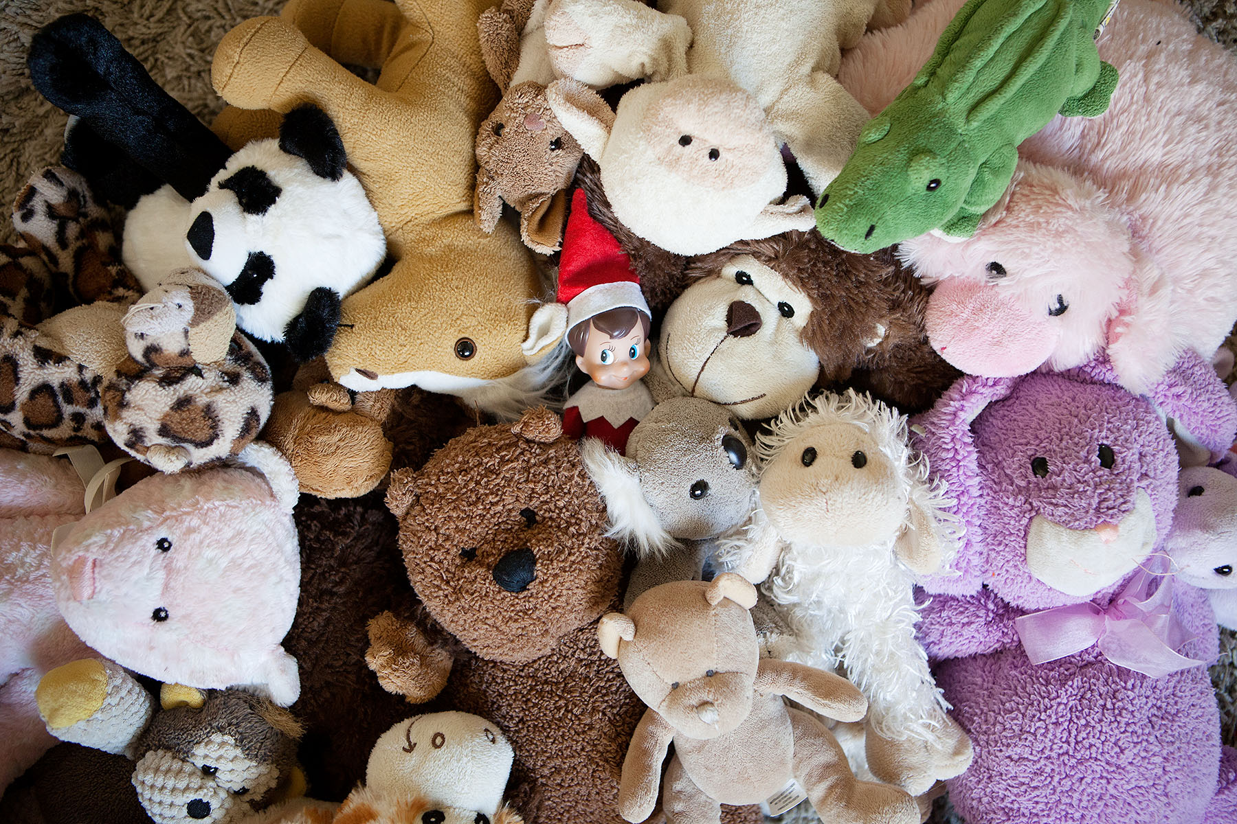Elf hides in a pile of stuffed animals.