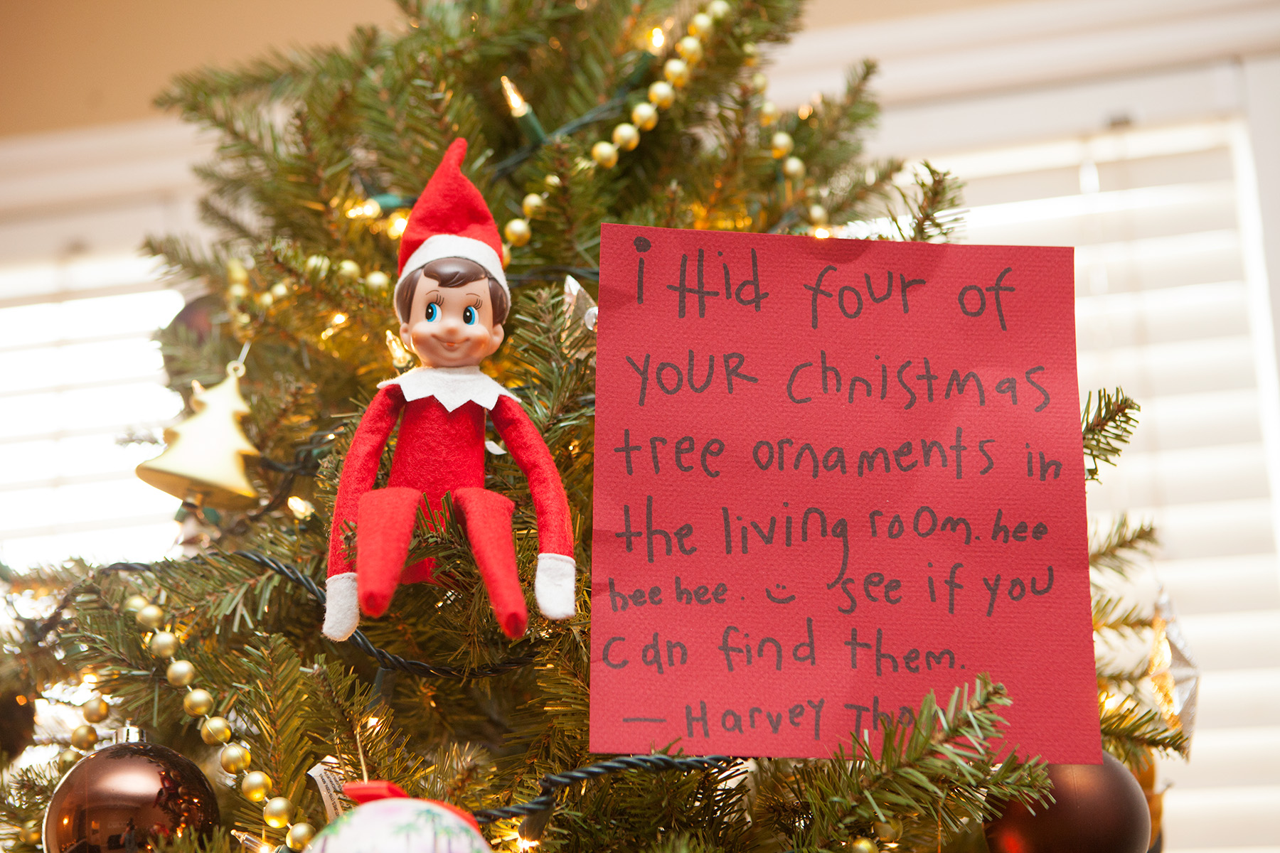 Elf sends the kids on a scavenger hunt for Christmas tree ornaments.