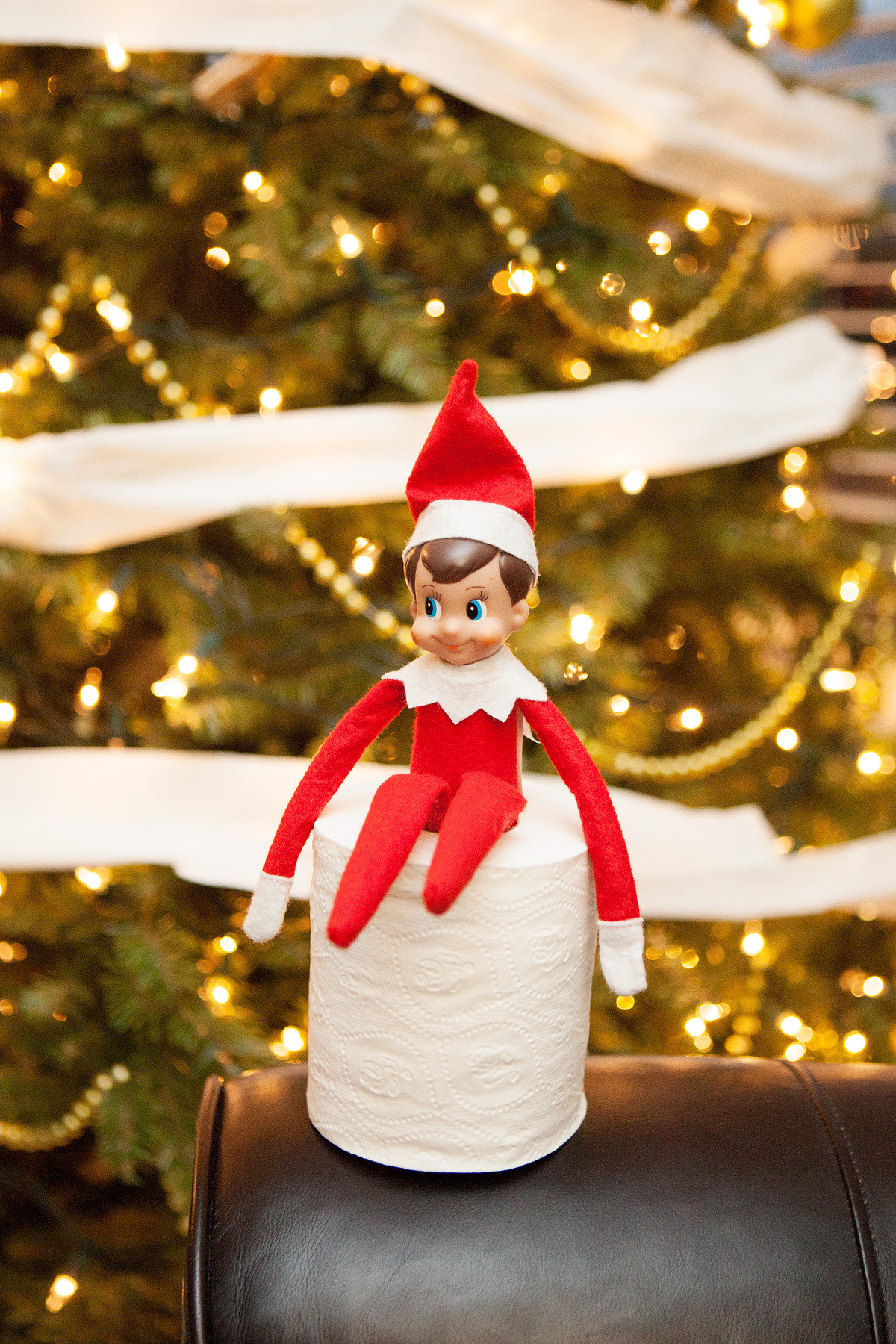 elf on shelf toilet paper