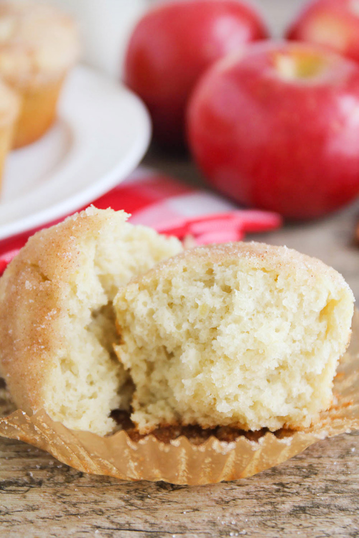 These applesauce muffins are a go-to snack in our family. My kids love it when a fresh batch of these are waiting for them after school. They’re easy to make, but that cinnamon sugar topping makes them hard to resist!
