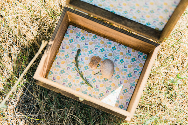 Create a Treasure Box for Collecting Nature this summer with the kids.