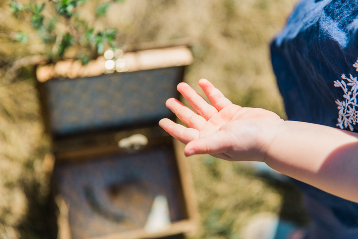 Create a Treasure Box for Collecting Nature this summer with the kids.