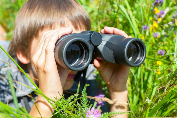 Binoculars // Essential Outdoor Family Adventure Gear 