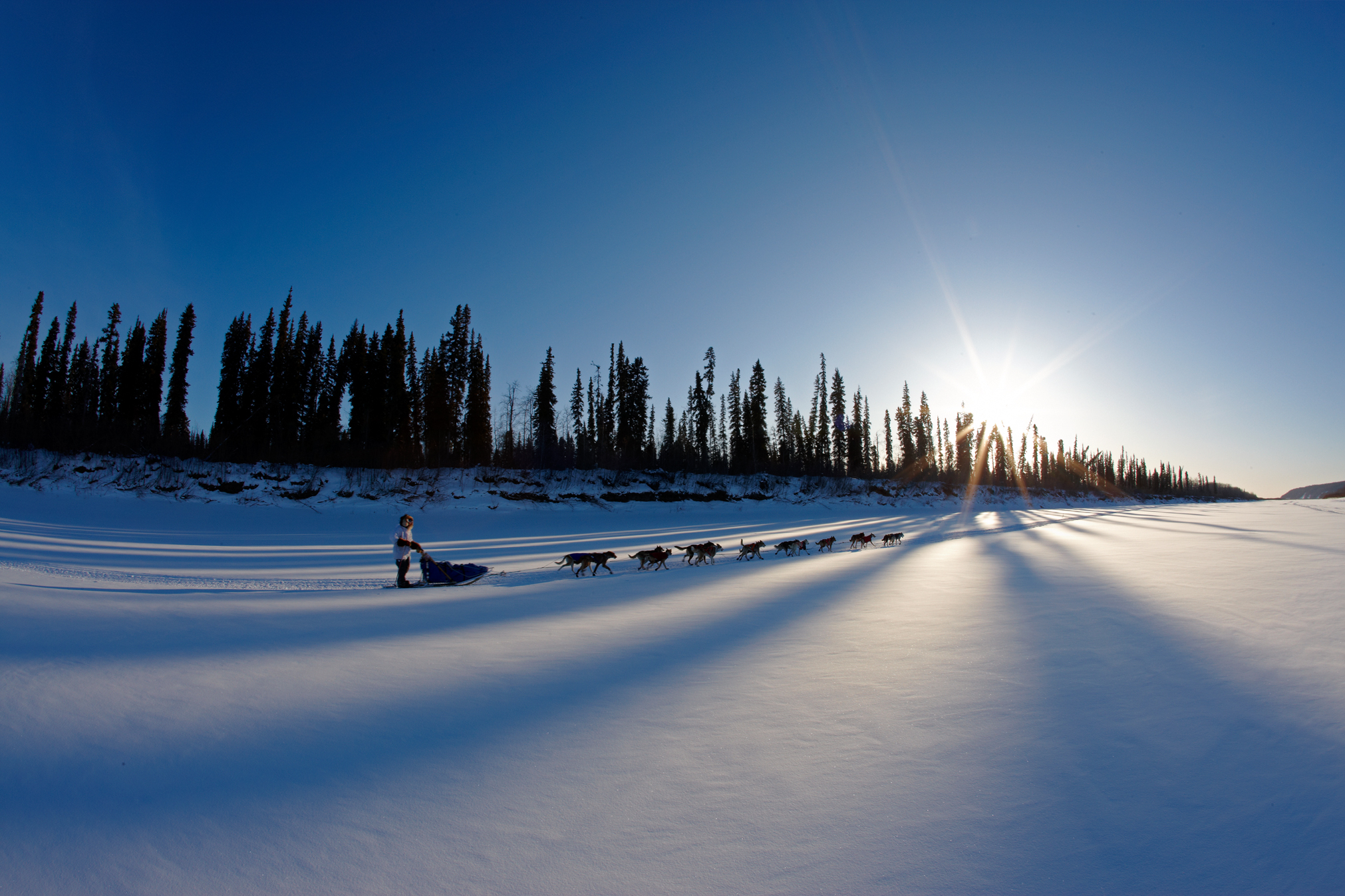 Iditarod dog sled race, Yukon River, Galena, Alaska