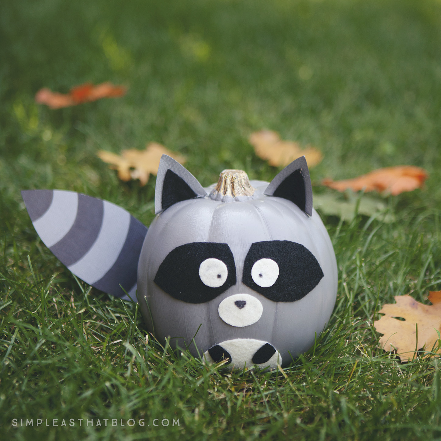 download free raccoon donut game