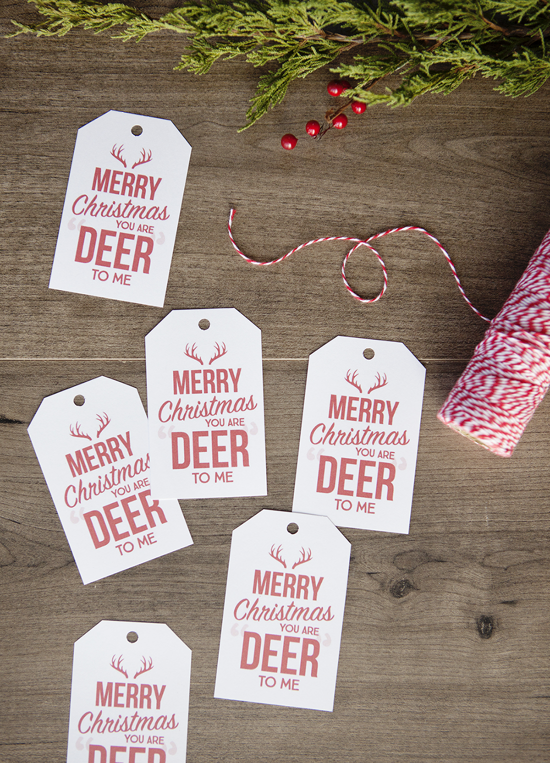 Free Deer to Me Printable Gift Tags Simple as That