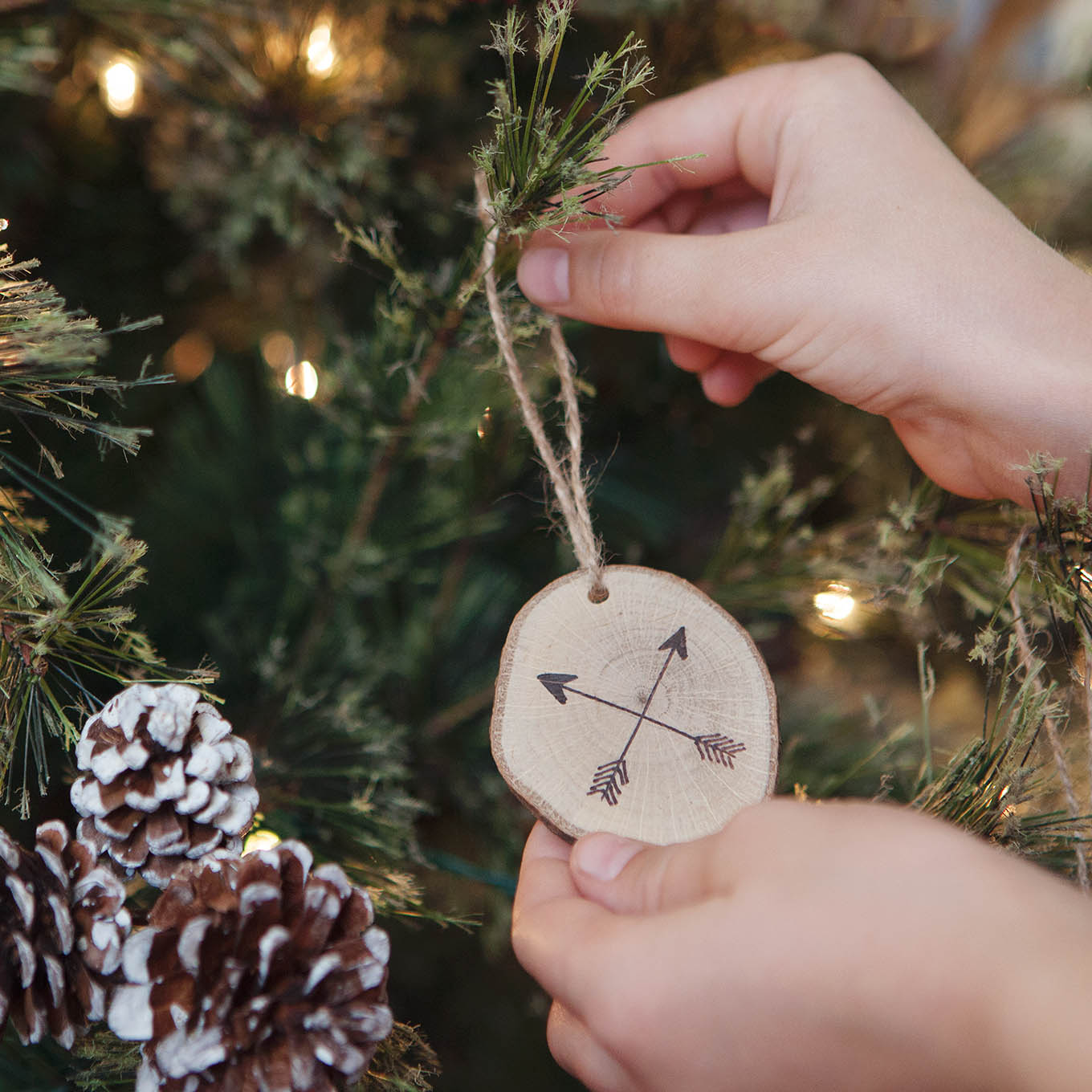 We're celebrating our family's most memorable outdoor adventures with an Outdoor Adventures themed Christmas tree.