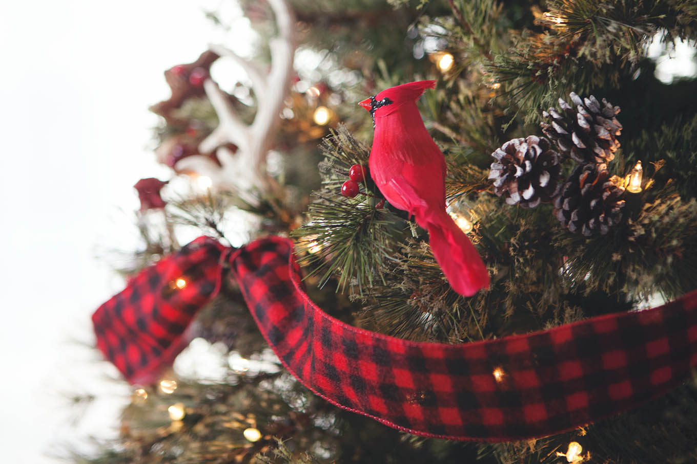 We're celebrating our family's most memorable outdoor adventures with an Outdoor Adventures themed Christmas tree.