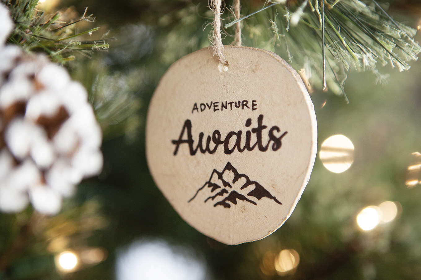 We're celebrating our family's most memorable outdoor adventures with an Outdoor Adventures themed Christmas tree.