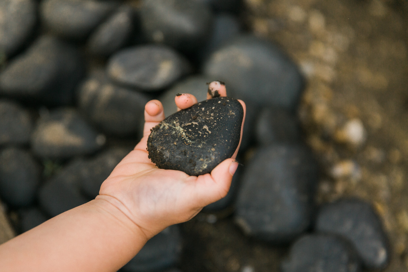 The Easiest Pet Rock To Make With the Kids