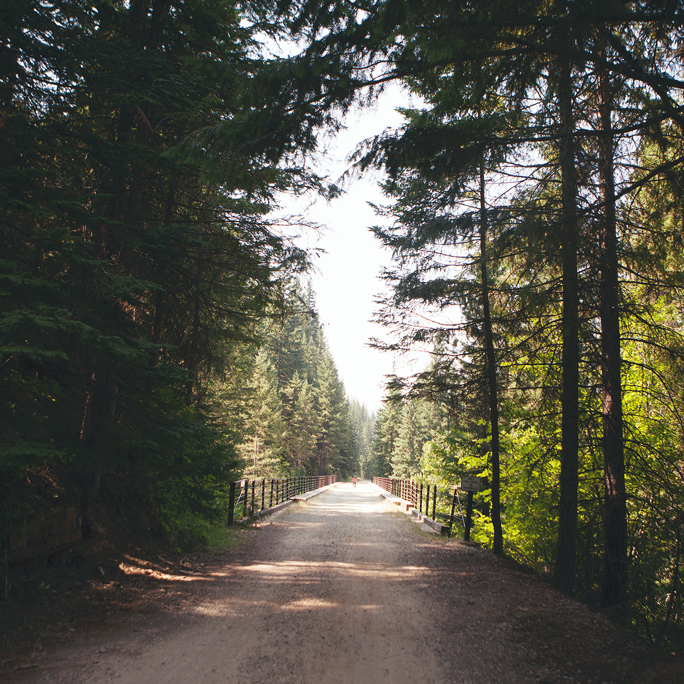 This 15-mile, downhill rail-to-trail conversion is an unforgettable activity that the whole family will enjoy! Here's everything you need to know about the Route of the Hiawatha mountain bike trail.