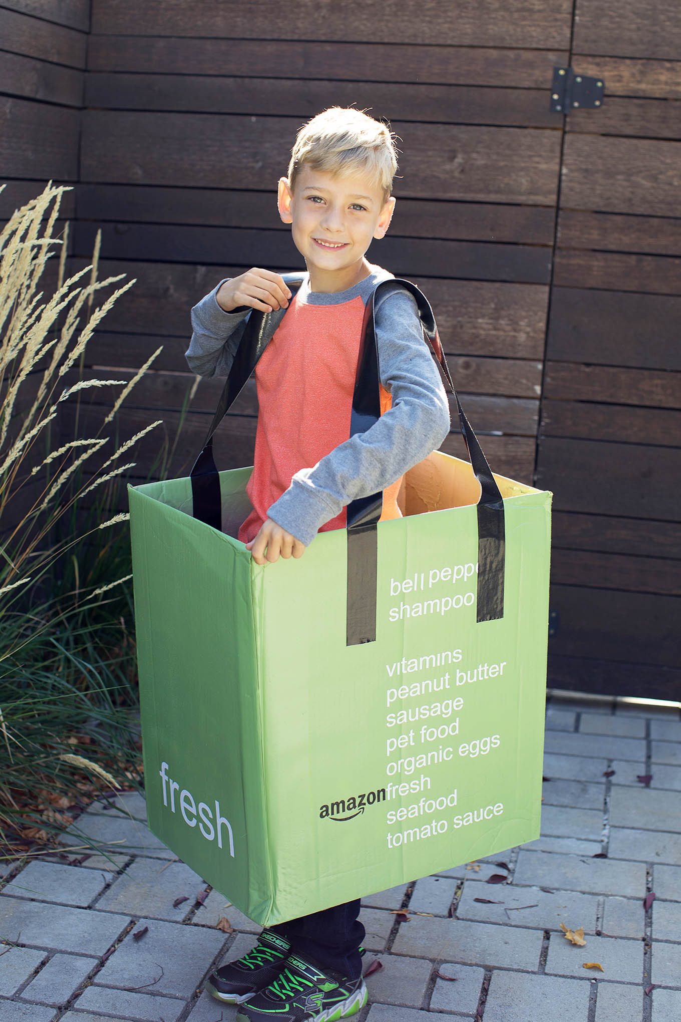 AmazonFresh DIY Cardboard Box Costume.