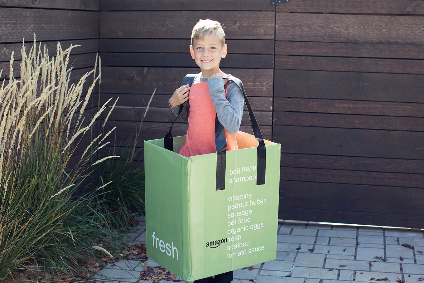 AmazonFresh DIY Cardboard Box Costume.