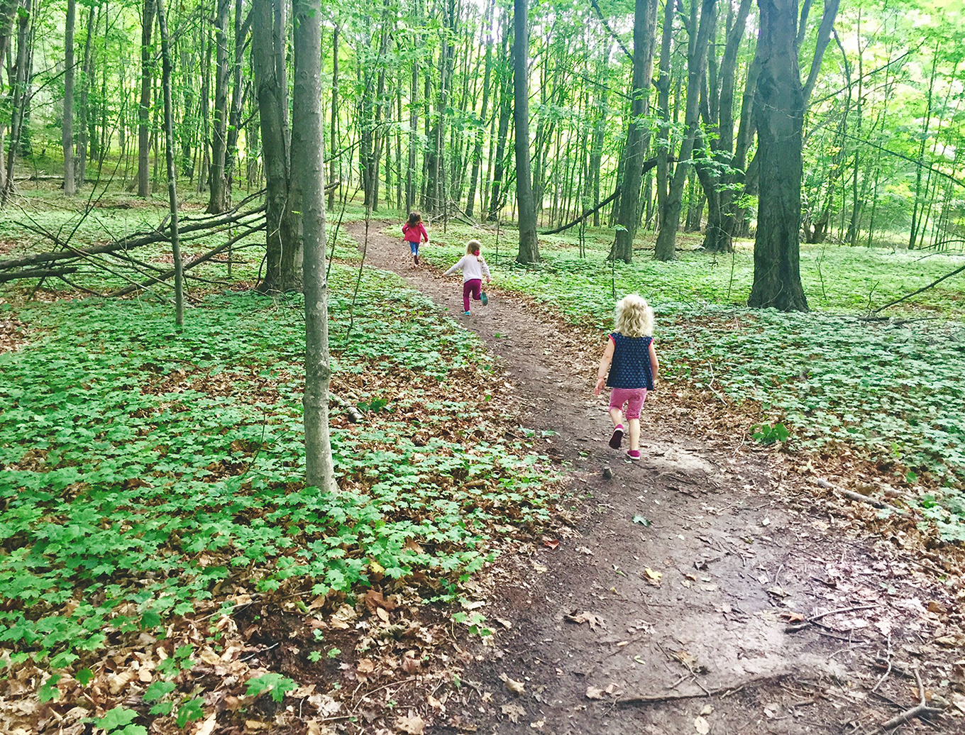 When kids spend time outside they build confidence, become more creative, and grow closer to their families. Here are 5 tips to get your kids out in nature.