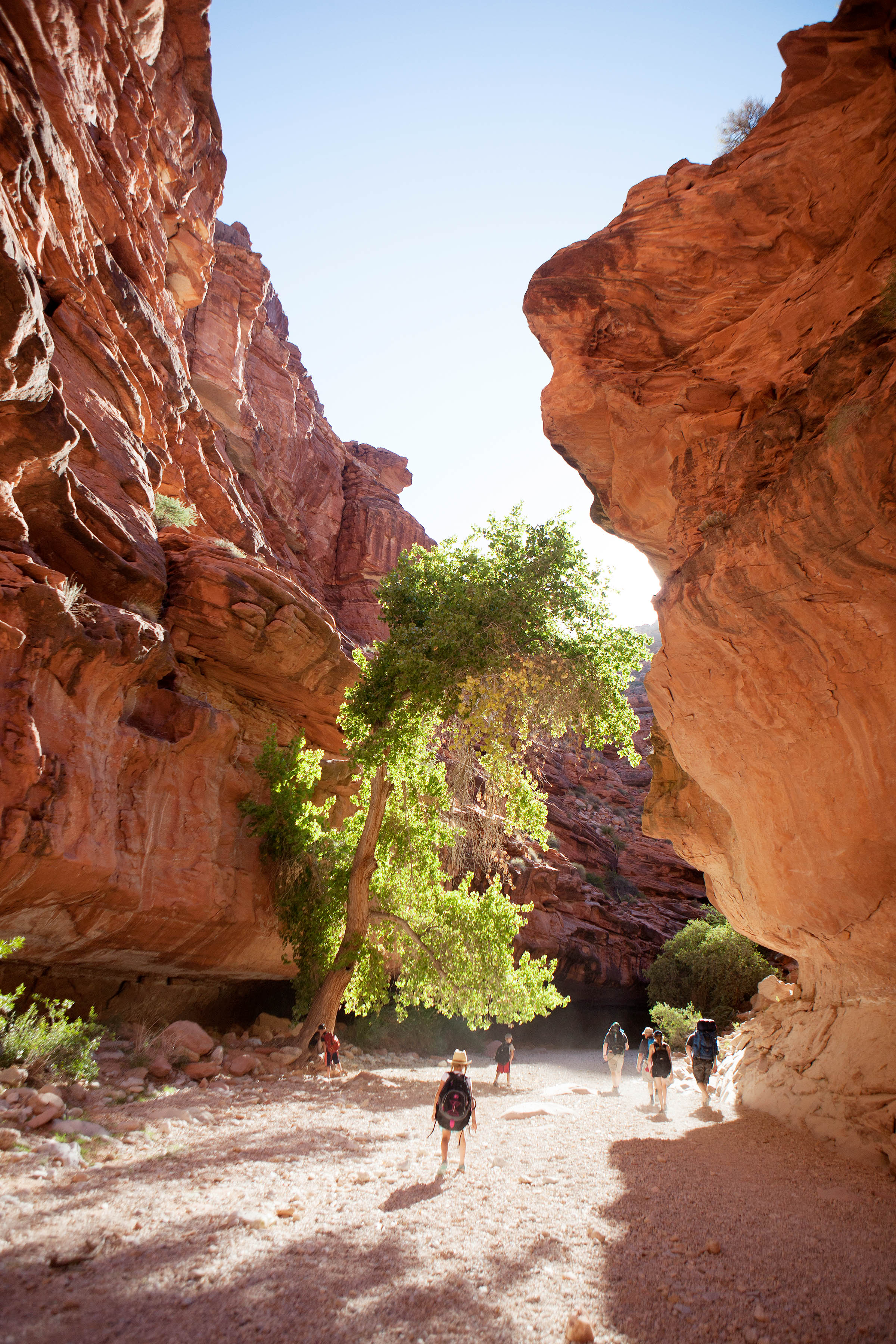 Not only is it doable as a family, it will go down as one of the most memorable adventures you'll experience together! Here's everything you need to know about hiking to Havasupai with kids.