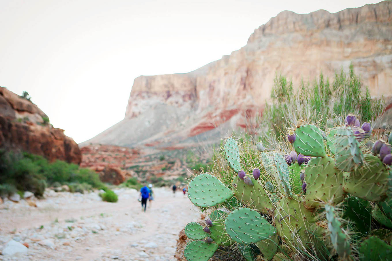 Not only is it doable as a family, it will go down as one of the most memorable adventures you'll experience together! Here's everything you need to know about hiking to Havasupai with kids.